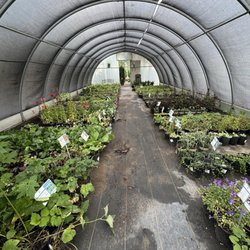Harding Nursery