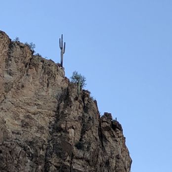 Dolly Steamboat - Lone saguaro. - Boat Charters Near Me - Apache Junction, Arizona Dolly Steamboat - Lone saguaro. - Boat Charters Near Me - Apache Junction, Arizona