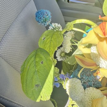 Flowerboy Project - Bug infested - Cafes Near Me - Venice, California
