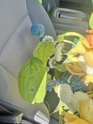 Flowerboy Project by null