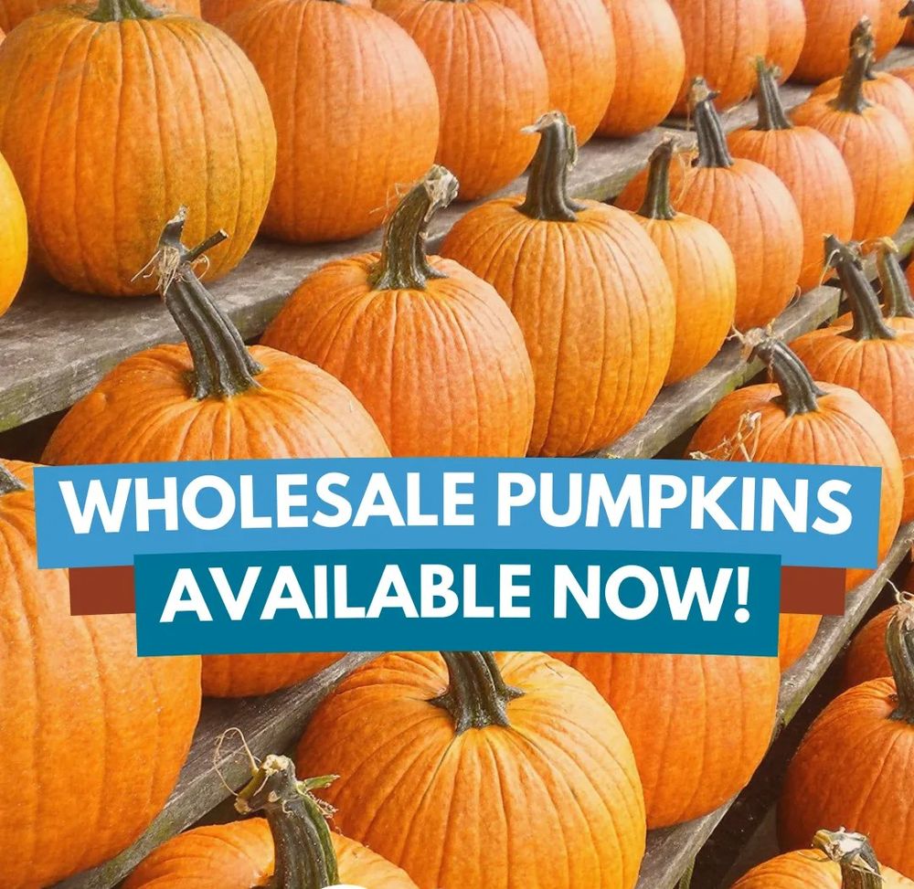 Social spots from Smith's Farms Pumpkin Patch