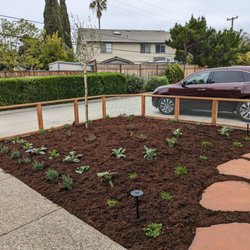 Ambience Garden Design
