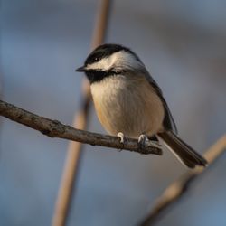 Wallkill River National Wildlife Refuge