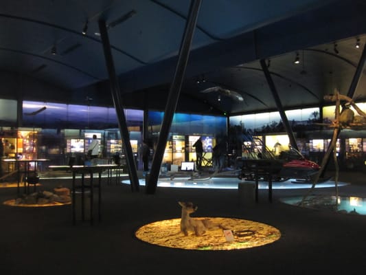 Siida - Sámi Museum and Nature Center by null