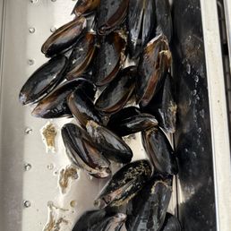 Mussels