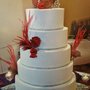 Photo of Cains Creative Cakes