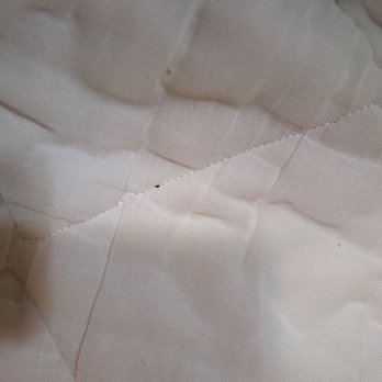Quality Inn & Suites - Possible bed bug on sofa sleeper. - Hotels Near Me - Dixon, Illinois Quality Inn & Suites - Possible bed bug on sofa sleeper. - Hotels Near Me - Dixon, Illinois