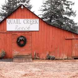 Quail Creek Ranch Christmas Trees
