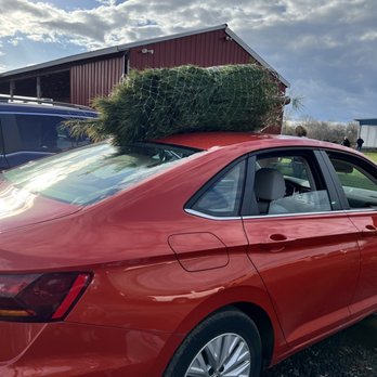 Evergreen Acres - Perfect tree!!! - Christmas Trees Near Me - Nokesville, Virginia Evergreen Acres - Perfect tree!!! - Christmas Trees Near Me - Nokesville, Virginia