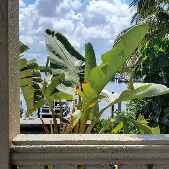 Bayfront Inn 5th Ave - View from pool - Hotels Near Me - Naples, Florida Bayfront Inn 5th Ave - View from pool - Hotels Near Me - Naples, Florida