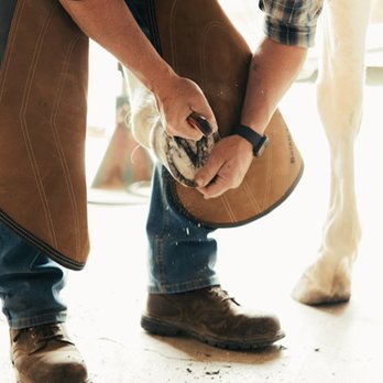 Mathews Equine - Farriers Near Me Mathews Equine - Farriers Near Me