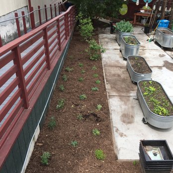 Logiculture - Finished product - Landscaping Near Me - San Francisco, California