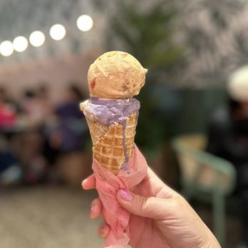 Sampaguita - Ice Cream & Frozen Yogurt Near Me - Orlando, Florida Sampaguita - Ice Cream & Frozen Yogurt Near Me - Orlando, Florida