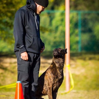 Tampa Bay K-9 Solutions - Pet Training Near Me - Gibsonton, Florida Tampa Bay K-9 Solutions - Pet Training Near Me - Gibsonton, Florida