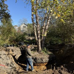 Atlantic Lawn and Garden - Transplanting a large River Birch