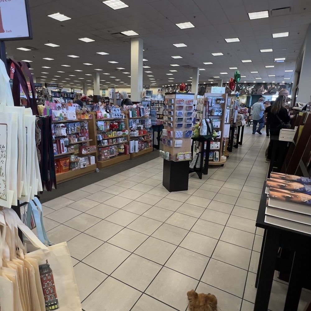 Barnes & Noble - Oceanside - Dog-friendly - Bookstores Near Me - Oceanside, California