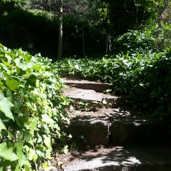 Carlito Springs - Hiking Near Me - Cedar Crest, New Mexico