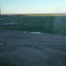 Empty field behind the hotel. Empty field behind the hotel.