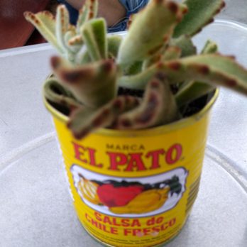 Bodega - Latin American Near Me - St Petersburg, Florida