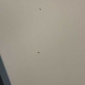 Avi Resort & Casino - Honestly looked like a booger on the wall. - Casinos Near Me - Laughlin, Nevada