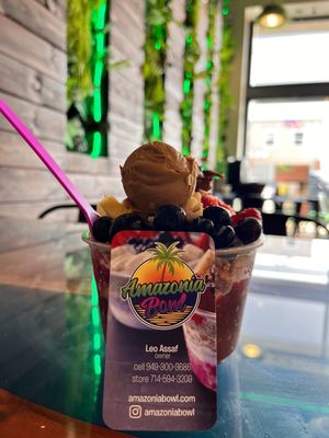 Amazonia Bowl by null