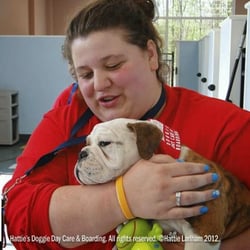 Hattie's Doggie Day Care & Boarding