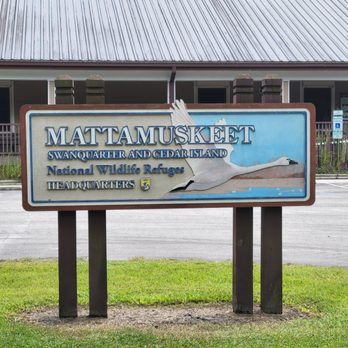 Mattamuskeet Refuge - Parks Near Me - Swanquarter, North Carolina