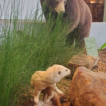 ANITA B GORMAN DISCOVERY CENTER - Updated August 2025 - 149 Photos & 16