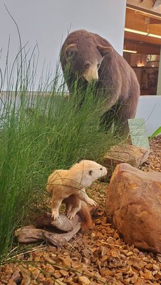 Anita B. Gorman Conservation Discovery Center by null