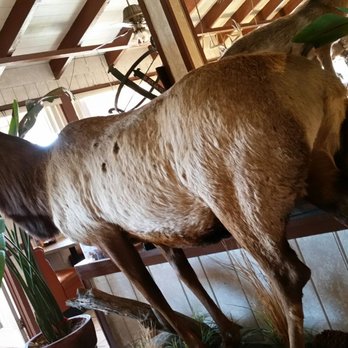 Casa Jimenez - Mexican Near Me - Barstow, California