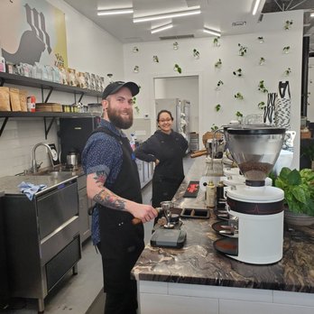 Mane Coffee - Great, friendly staff! - Coffee & Tea Near Me - Boca Raton, Florida Mane Coffee - Great, friendly staff! - Coffee & Tea Near Me - Boca Raton, Florida