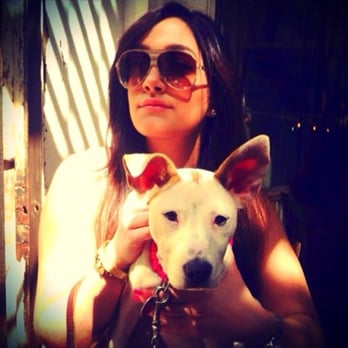 Paws & Pals - Dog Walkers Near Me - Brooklyn, New York Paws & Pals - Dog Walkers Near Me - Brooklyn, New York