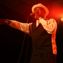 Illinois Blues Festival