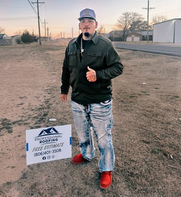 Professional Roofing