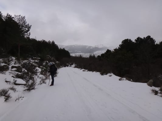 La Pedriza by null