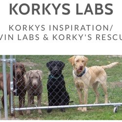 Korky's Labs - Korky's Main Page