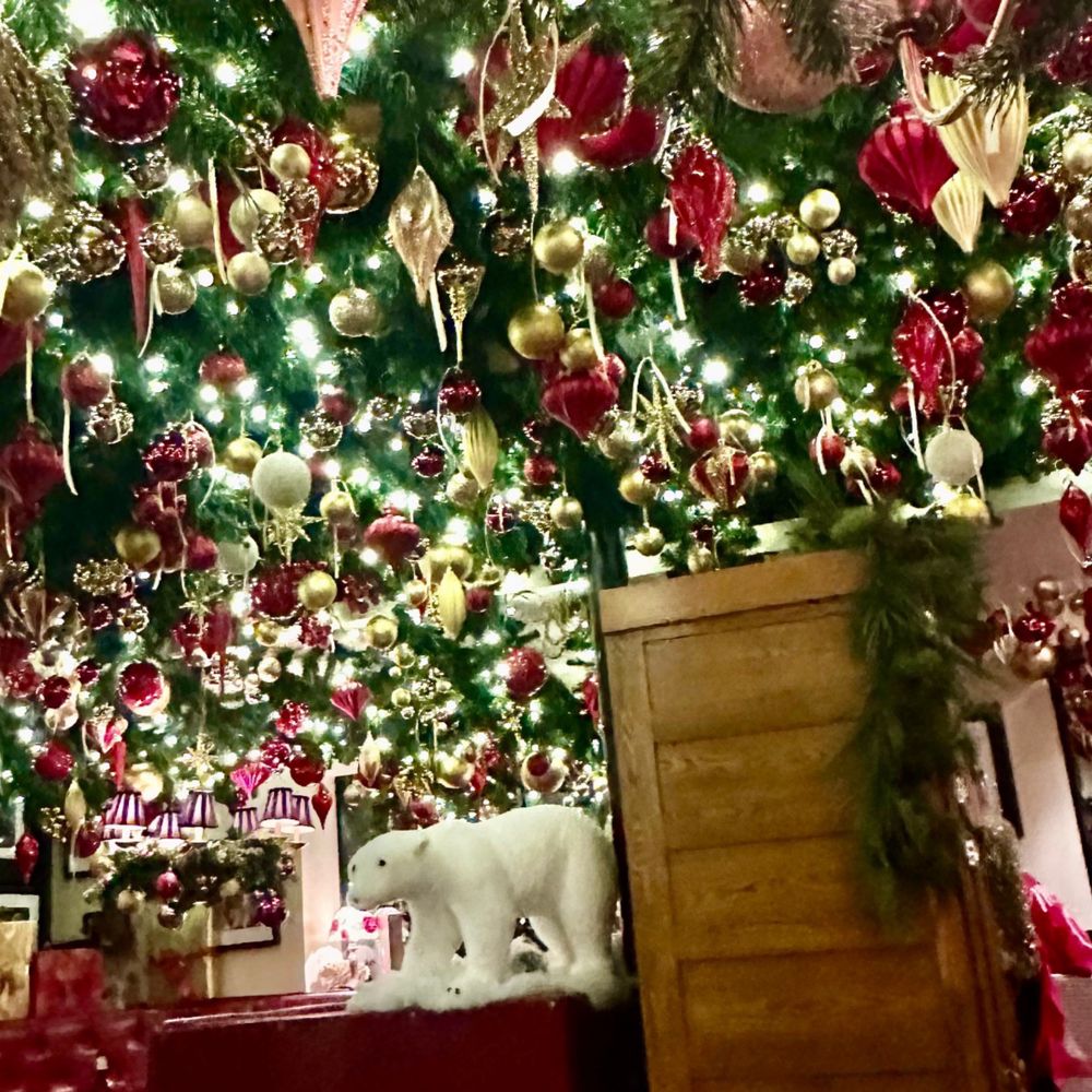 The Venetian - Inside Christmas Decor - Italian Near Me - Weymouth, Massachusetts The Venetian - Inside Christmas Decor - Italian Near Me - Weymouth, Massachusetts