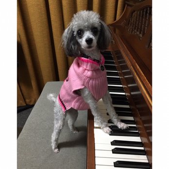 Townsend Music School - Our school mascot, Melody. Come meet her! She doesn't have a video yet, though. - Musical Instruments & Teachers Near Me - Ballwin, Missouri Townsend Music School - Our school mascot, Melody. Come meet her! She doesn't have a video yet, though. - Musical Instruments & Teachers Near Me - Ballwin, Missouri