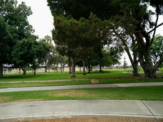 Maxwell Park by null