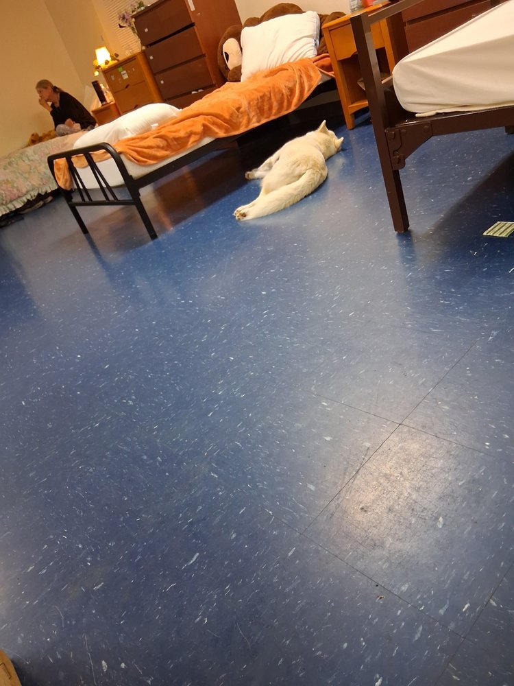 Evergreen Family Oriented Tree - social services organization in New Haven, CT