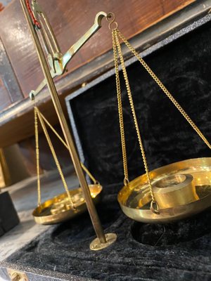 Dolly Python - Dallas, TX Dolly Python - Dallas, TX