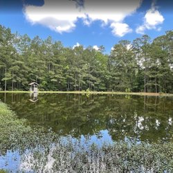 Miner's Camp - Big pond near primitive tent camping.