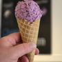 Photo of Marciano Ice cream
