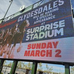 Desertaire Rv Park - Saw the beautiful Budweiser Clydesdale Horses