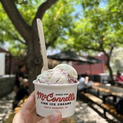 Mcconnell's Fine Ice Creams - Earl Grey Tea & Shortbread Cookies Eureka Lemon & Marionberries