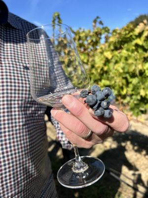 Medlock Ames Winery at Bell Mountain Ranch by null