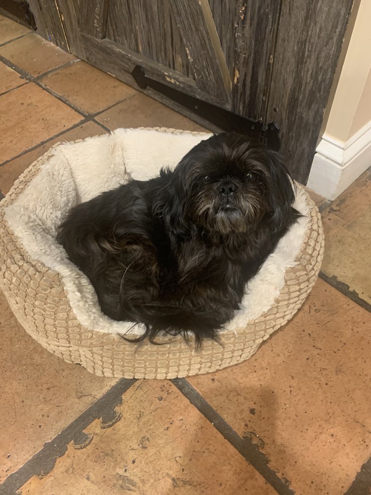 ROARK SMALL ANIMAL CLINIC Updated September 2024 1205 N Wilcox Dr