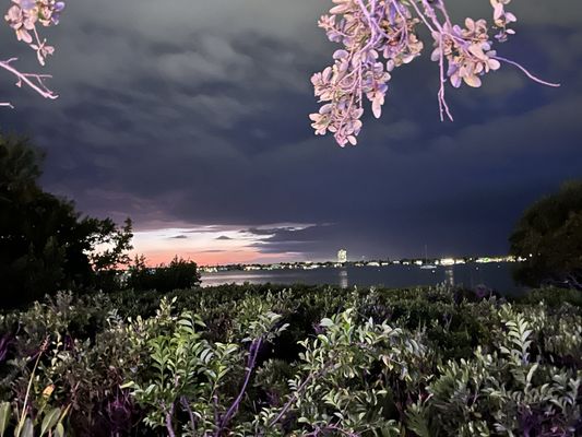 Marie Selby Botanical Gardens Downtown Sarasota by null
