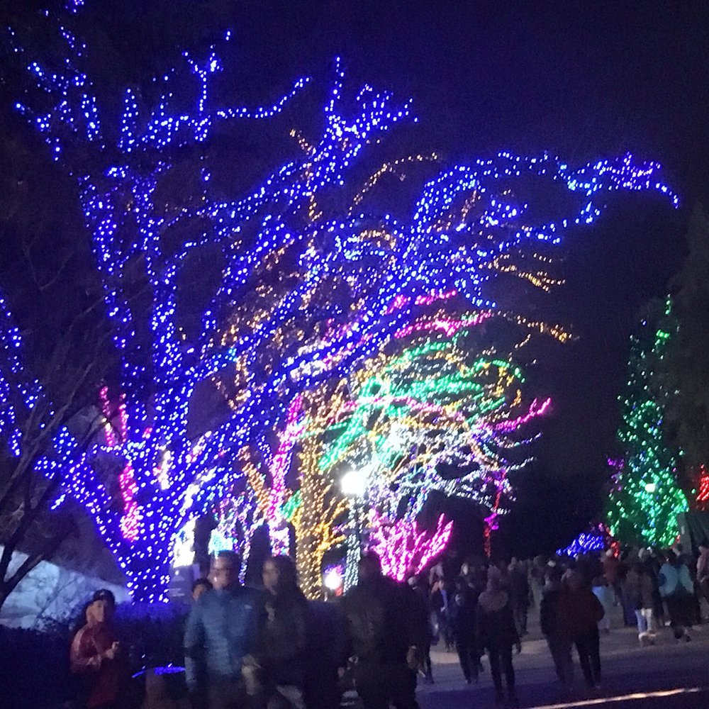 ZooLights - Zoos Near Me - Washington, DC, District of Columbia