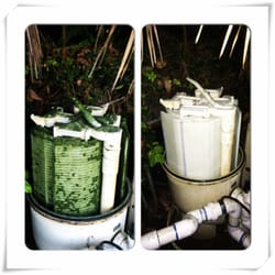 Cleaning Coastal Pools - Clean filters for crystal clear water